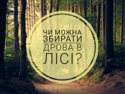 Лісівники Хмельниччини пояснили, що збирання сухостою в лісі – кримінальне правопорушення