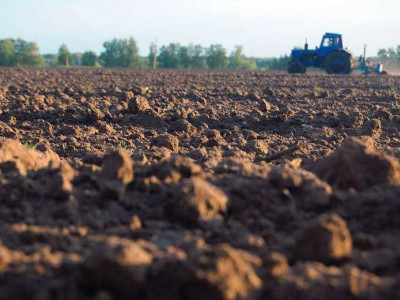 Голосував за землю для тещі: міського голову Лановець оштрафували через корупцію