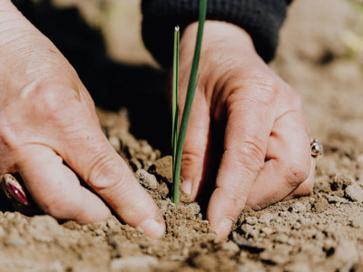 Бюджетна субсидія на одиницю оброблювальних угідь