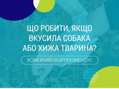 Що робити, якщо вкусила собака чи хижа тварина – план дій