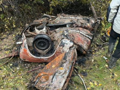 Поїхали збирати гриби: під Черніговом четверо чоловіків підірвалися на міні