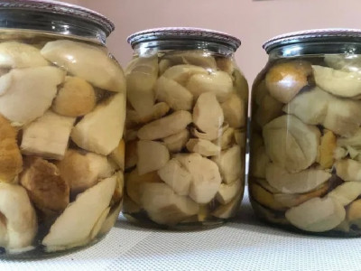 Рецепт маринованих білих та будь-яких інших грибів