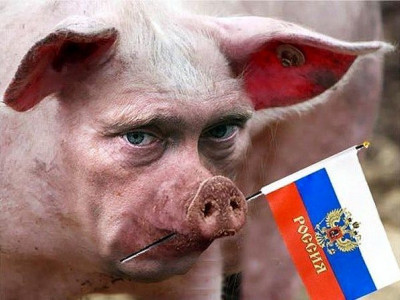 Рашисти облаштували свою базу в свинарнику