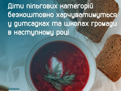У Мукачеві діти пільгових категорій безкоштовно харчуватимуться у дитсадках та школах громади в наступному році
