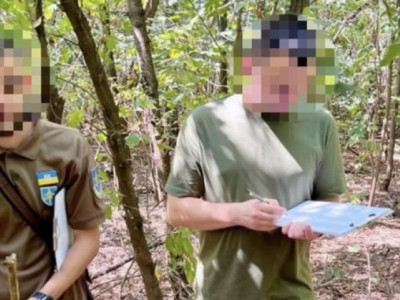 «Нарубили» на 2 млн. грн.: ДБР на Запоріжжі підозрює лісничого з підлеглими у зловживанні службовим становищем
