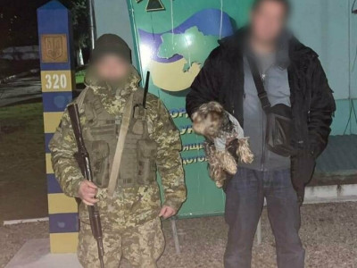 Ухилянт намагався незаконно перетнути кордон на Закарпатті разом з песиком