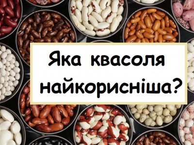 Ідеальний замінник м’яса – квасоля, але її треба правильно готувати