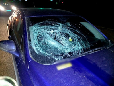 У Білій Церкві поліція розслідує обставини ДТП за участі пішохода