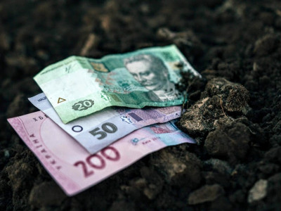 Вартість гектара землі в Закарпатті складає маже 50 тисяч гривень