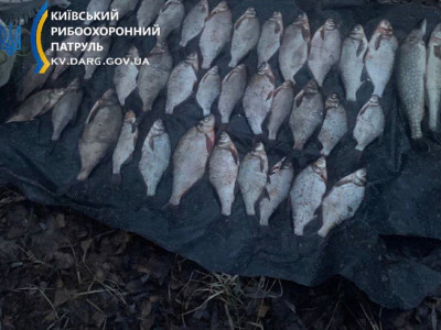 Поблизу Вишгорода спіймали браконьєра