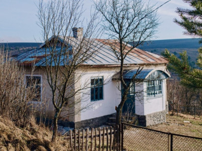 Як можна заробити на старих хатах в селі