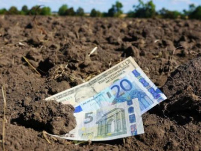 Ринок землі: скільки коштує гектар у різних областях