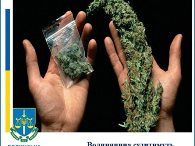 Волинянин незаконно торгував наркотичною речовиною