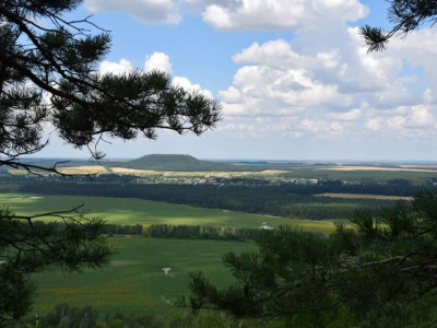 У лісгоспу на Тернопільщині заберуть 2700 га землі і передадуть Нацпарку