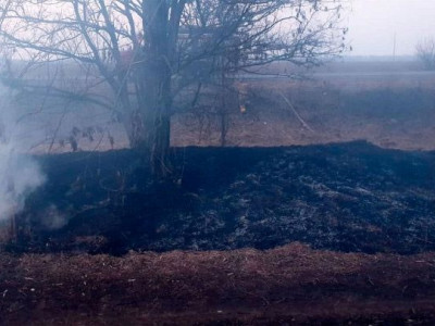 Біля миргорода поліцейські затрималі палія, який запалив суху траву