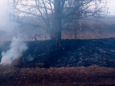 Підпалив суху рослинність вздовж дороги: на Полтавщині поліцейські затримали палія