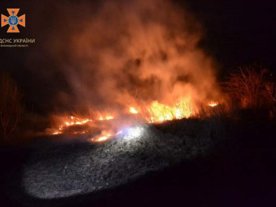 Вогонь знищив 7 гектарів поля