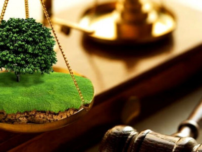 На Волині в державну власність витребували землі лісового фонду вартістю 27 млн