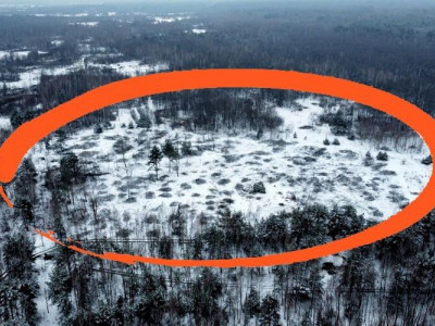 На Волині бізнесмен вирубує 40-річний ліс. Фото. Відео