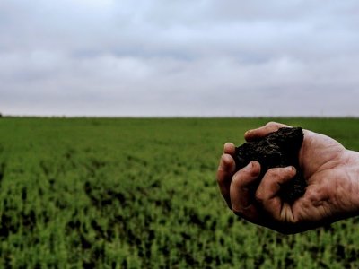 На Львівщині фермера через суд змусили повернути 40 га землі