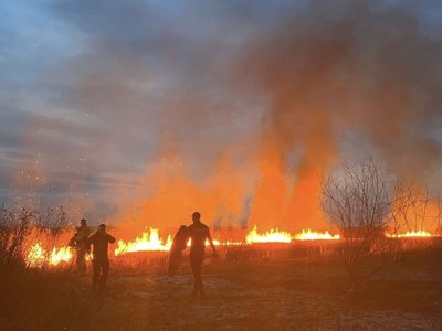 Дубенські патрульні разом з рятувальниками загасили пожежу в полі