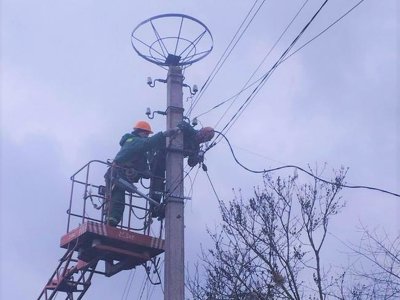 На Рівненщині для лелек встановлюють незвичайні домівки