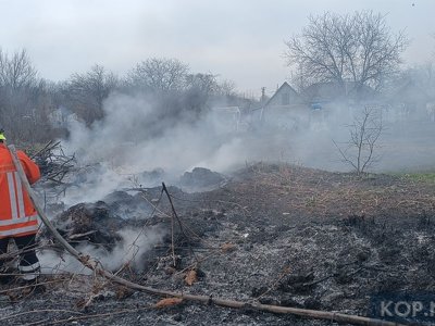Шість пожеж за минулу добу сталися в Кременчуцькому районі: горіла суха трава