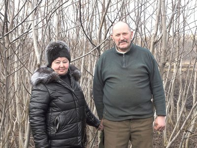 Довелося спалити 2000 саджанців: на Тернопільщині місцеві чиновники знищили горіховий стартап