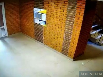 У Горішніх Плавнях затримали чоловіка, який намагався зґвалтувати 10-річну дівчинку