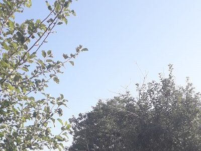 Зґвалтував дружину та задушив: на Полтавщині на довічно засудили 29-річного чоловіка