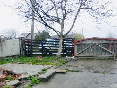 Повісив на мотузці собаку, а потім закопав на подвір'ї: що загрожує живодеру, пояснили в поліції