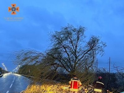 Вночі жахлива негода наробила біди на Закарпатті