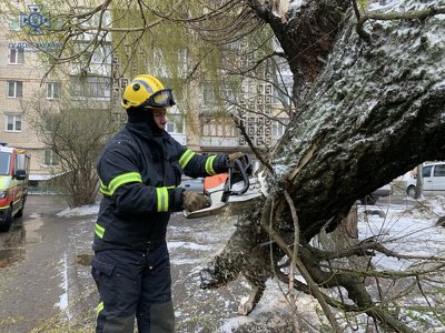 Сильні пориви вітру повалили дерева на проїжджу частину у Чернівцях та Кельменцях