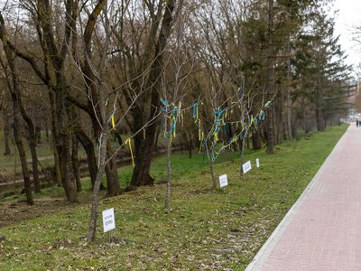 На алеї міст-героїв у тернопільському парку посадили нові дерева. ФОТО