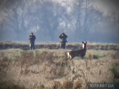На Полтавщині суд призначив умовний термін фермеру, який під час полювання випадково застрелив товариша
