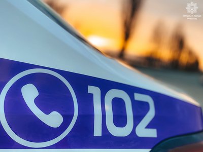 На Молодіжному правоохоронці затримали чоловіка за незаконне спилювання дерев