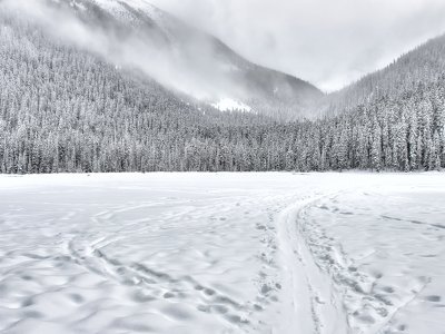 В Україні та Європі очікується колапс через значне похолодання — вчені