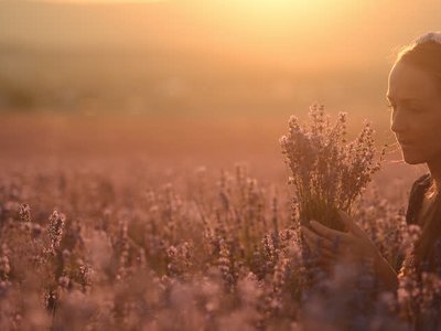 Перелік рослин, які відлякують комарів