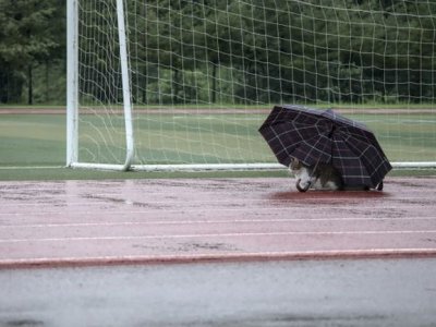 Прогноз погоди на суботу, 27 травня: в Україні будуть дощі та грози