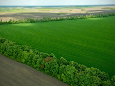 Астарта завершила посівну і почала готуватись до жнив