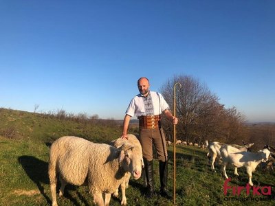 Фермер з Коломийщини розповів про тваринництво у час війни