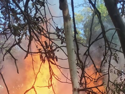 У Рівному згоріли два автогаражі, третій змогли врятувати