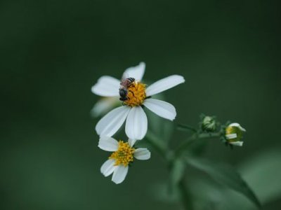 Яке сьогодні, 5 червня, свято – все про цей день, яке церковне свято, що не можна робити
