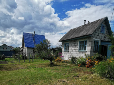 Чоловік отримав спадщину із сюрпризом: що забула розповісти мати?