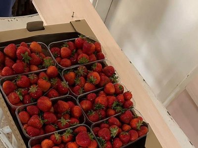 Воїнам-інвалідам занесли полуницю