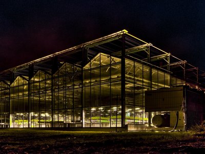 DSV продовжує інвестувати в селекцію рослин