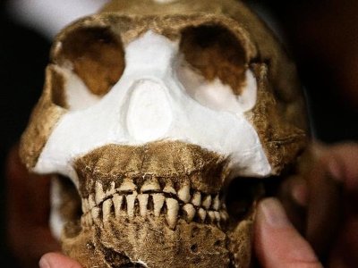 Вчені виявили найдавніше поховання в історії й зроблене воно не нашим видом