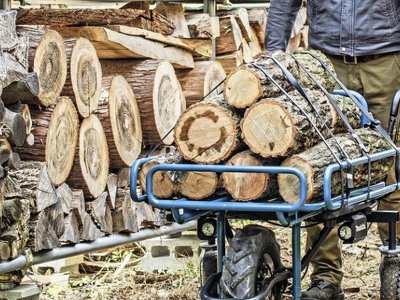 Судитимуть волинянина, який нарубав дерев на 370 тисяч гривень