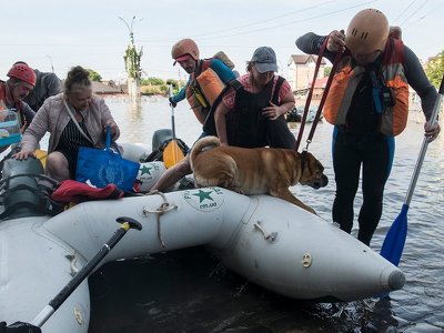 Волонтери “Дому Сірка” поїдуть у Херсон рятувати тварин: як допомогти
