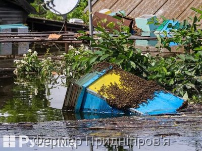 Цитата дня